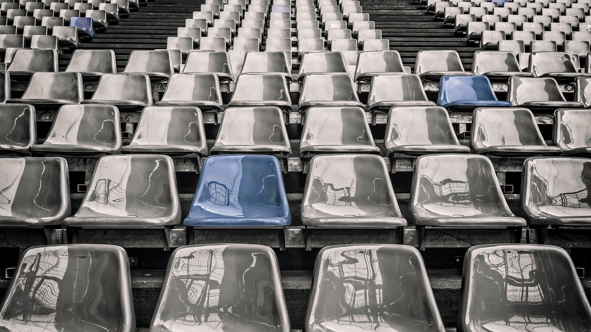 Building Organizational Excellence