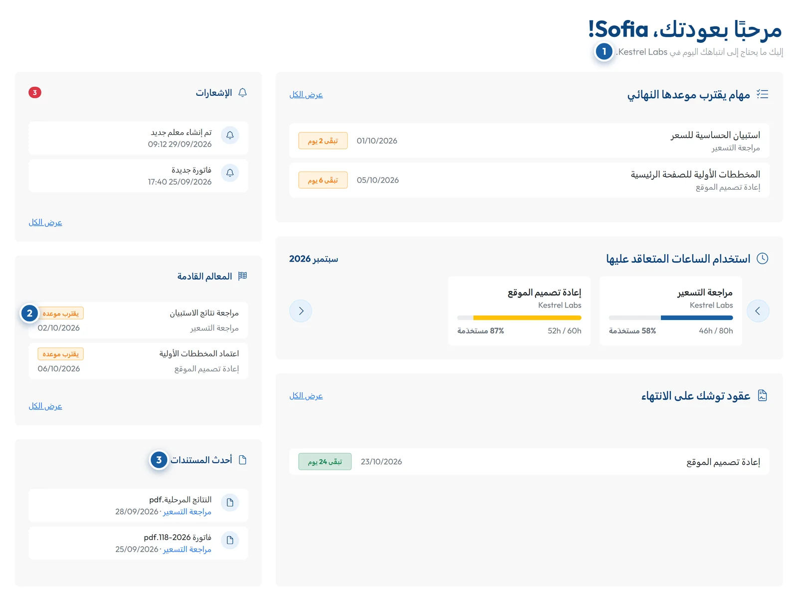 بوابة العملاء في GoCons.eu مع المهام القريبة من موعدها النهائي والساعات المتعاقد عليها والمراحل وأحدث المستندات