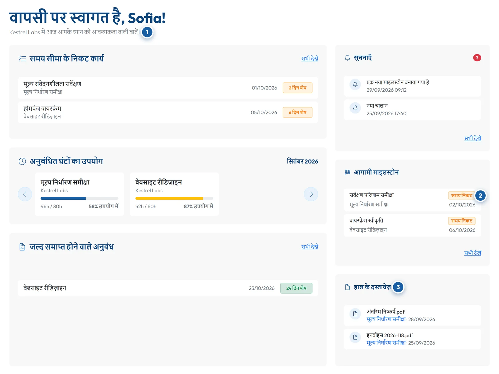 GoCons.eu क्लाइंट पोर्टल, जिसमें समय-सीमा के करीब कार्य, अनुबंधित घंटे, माइलस्टोन और हाल के दस्तावेज़ हैं