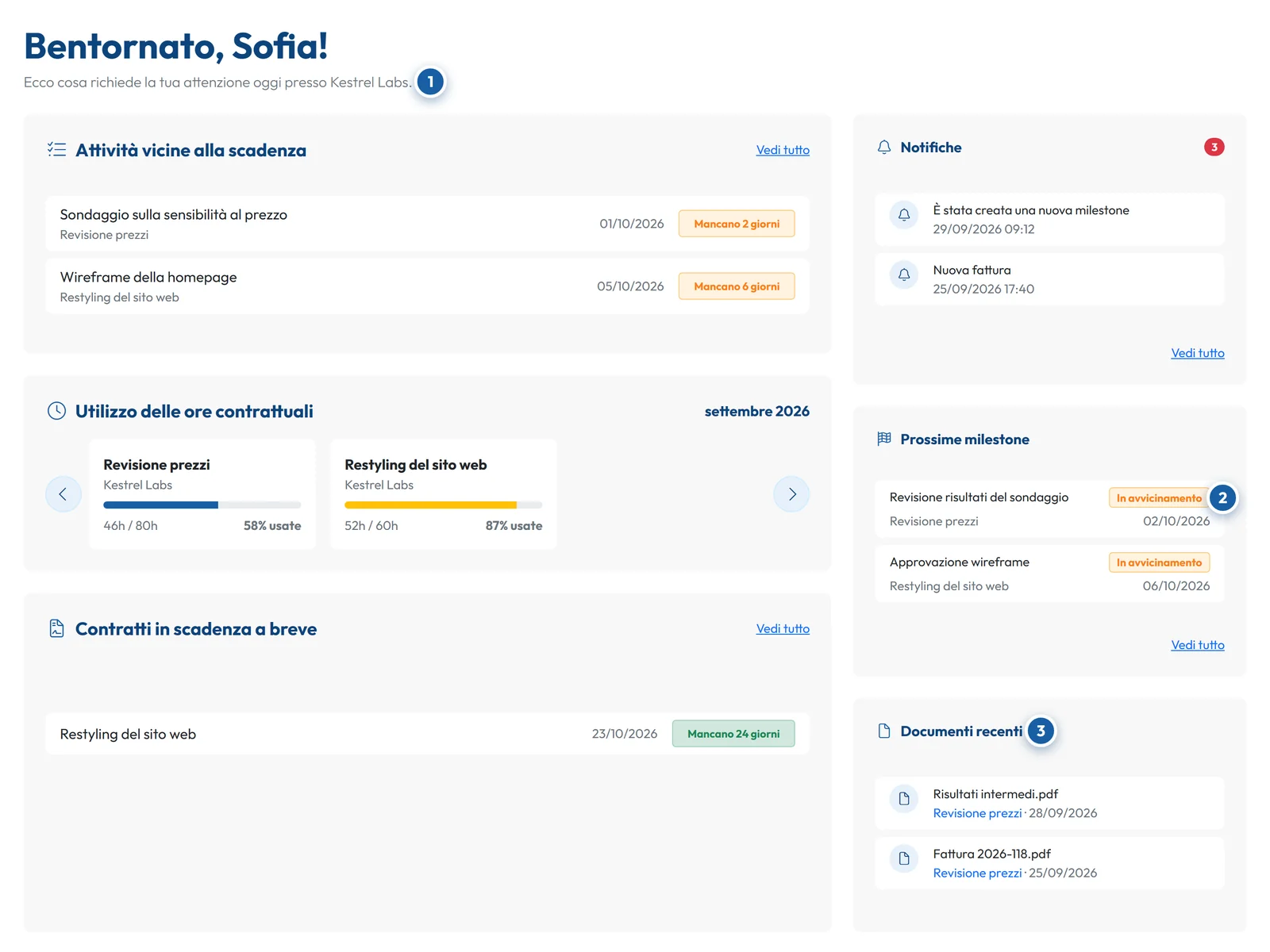Portale clienti di GoCons.eu con attività in scadenza, ore contrattualizzate, milestone e documenti recenti