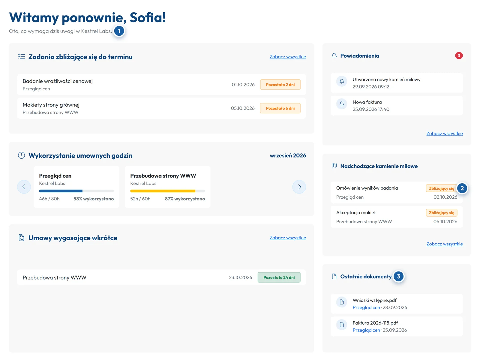 Portal klienta GoCons.eu z zadaniami z bliskim terminem, godzinami z umowy, kamieniami milowymi i najnowszymi dokumentami
