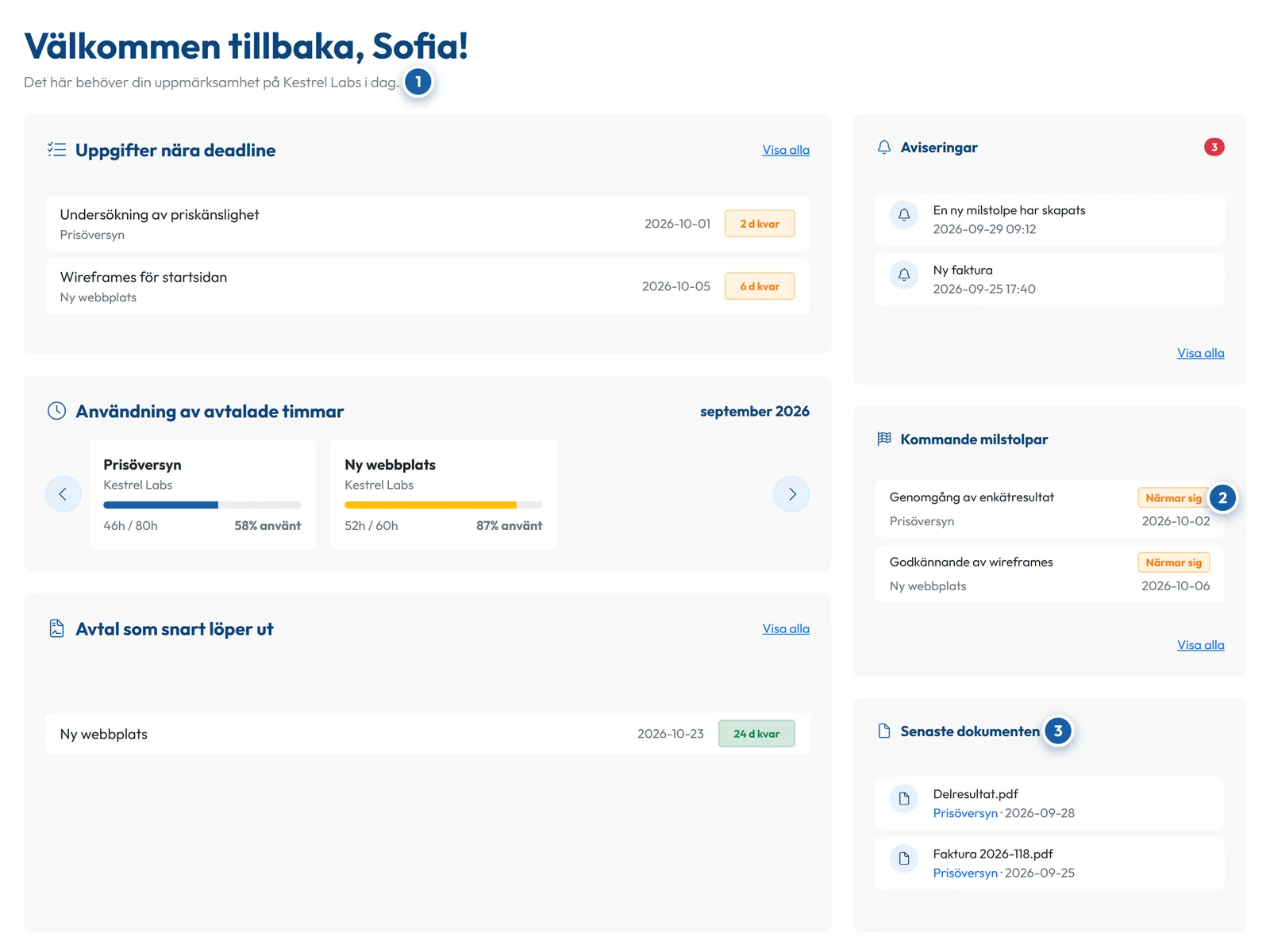 Kundportalen i GoCons.eu med uppgifter nära deadline, avtalade timmar, milstolpar och senaste dokument